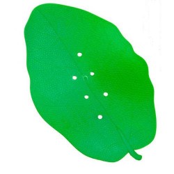 HOJA VERDE DE COL