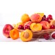 CALIBRADOR FRUTAS 7 MEDIDAS